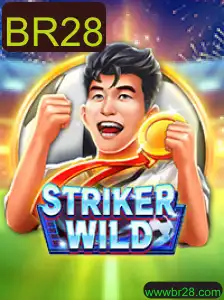 Explorando StrikerWILD: Um Mergulho nas Regras e Mecânicas do Jogo